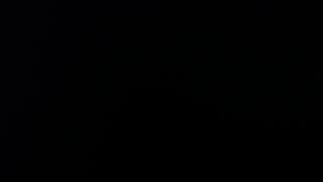 artemisa aly online show from April 8, 2026, 11:43 am