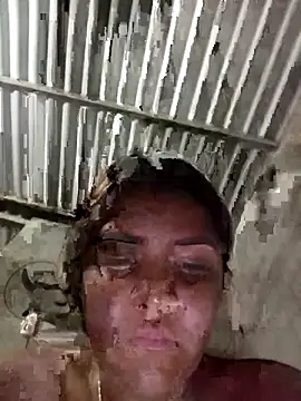 single kitten online show from March 20, 2026, 3:22 am