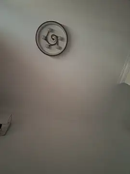 yin202601 online show from April 9, 2026, 9:04 am