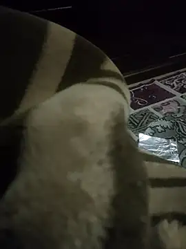 Snapshot of Pop1977 chatting on April 9, 2026, 12:54 pm Pop1977 online show from April 9, 2026, 12:54 pm