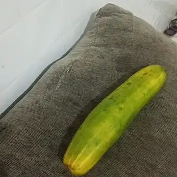 puta casada online show from March 7, 2026, 3:03 am