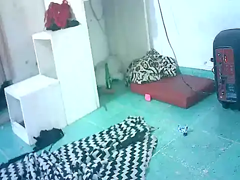 Snapshot of naomitrans32 chatting on April 1, 2026, 5:41 am naomitrans32 online show from April 1, 2026, 5:41 am