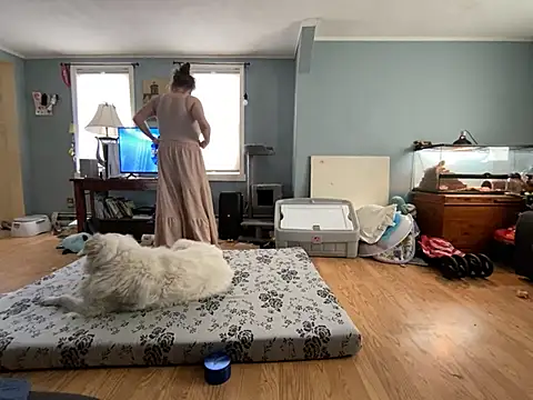 highimmaryjane online show from March 25, 2026, 4:46 pm