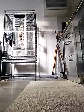 sexy8993 online show from April 13, 2026, 5:40 pm