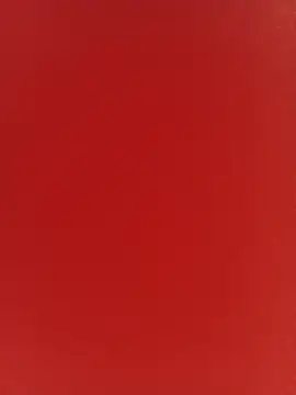 Snapshot of nayades_ricci chatting on August 6, 2026, 8:44 pm nayades ricci online show from August 6, 2026, 8:44 pm