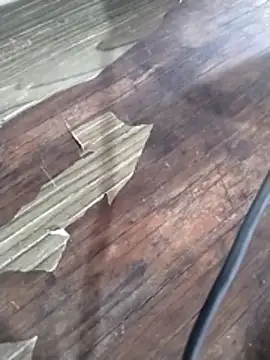 crisgoems online show from March 15, 2026, 5:08 pm