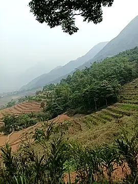 Yuhi3d online show from April 14, 2026, 3:45 am