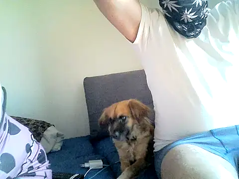 Snapshot of SirNefastus chatting on April 12, 2026, 4:28 am SirNefastus online show from April 12, 2026, 4:28 am