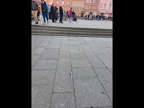 PublicMarekFlashDick online show from March 14, 2026, 2:44 pm