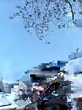 Yellow-pink online show from April 12, 2026, 10:20 am