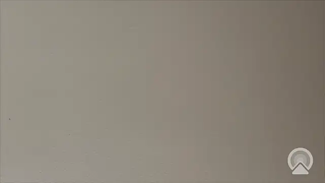 Shynesse21 online show from March 26, 2026, 11:38 am