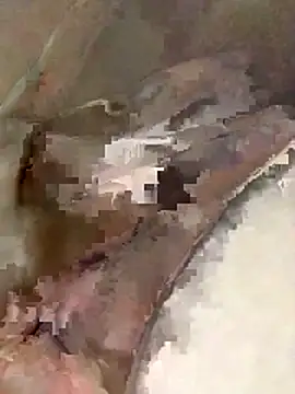 ayrla    online show from March 19, 2026, 3:54 am