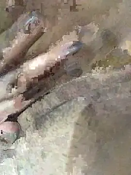 ayrla    online show from March 24, 2026, 4:17 am