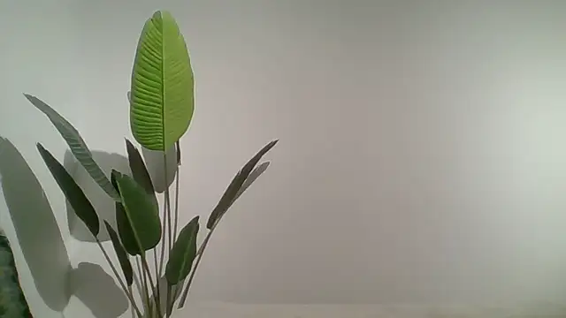 Snapshot of Couple_qc chatting on May 25, 2026, 10:05 pm Couple qc online show from May 25, 2026, 10:05 pm