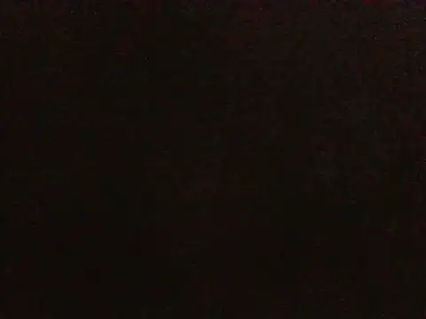Snapshot of i4Fog chatting on April 12, 2026, 7:41 pm i4Fog online show from April 12, 2026, 7:41 pm
