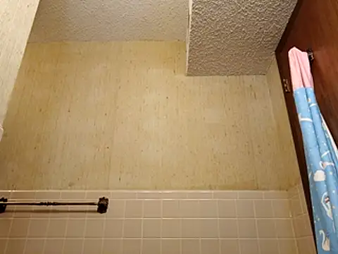 HexedPortrait online show from April 23, 2026, 2:46 am