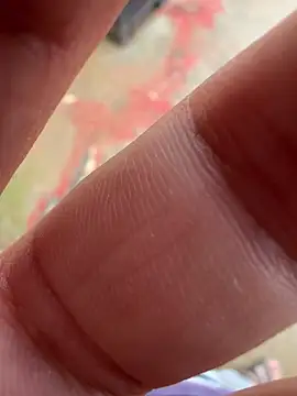 Big 133 online show from April 11, 2026, 1:37 pm