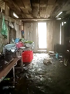 Snapshot of Lily_Daisy chatting on March 25, 2026, 3:56 am Lily Daisy online show from March 25, 2026, 3:56 am