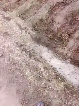 xmanraavan online show from March 28, 2026, 1:38 am