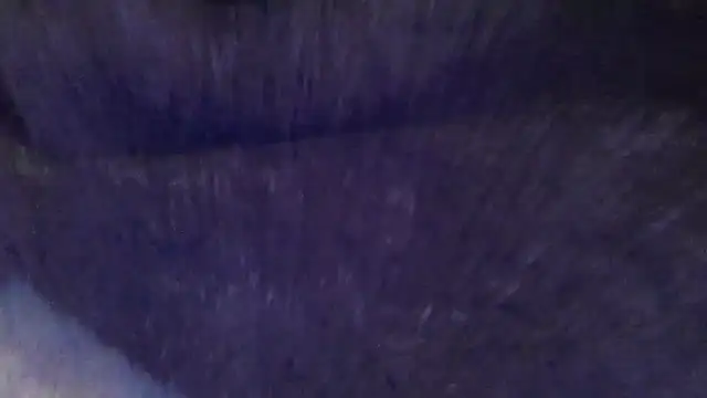 Snapshot of basecamp5 chatting on July 12, 2026, 2:02 am basecamp5 online show from July 12, 2026, 2:02 am