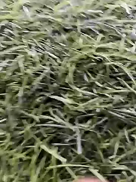 X-boy-11 online show from April 16, 2026, 8:59 am