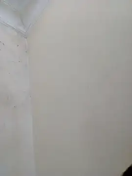 Snapshot of Nisrin_ay chatting on April 27, 2026, 4:38 pm Nisrin ay online show from April 27, 2026, 4:38 pm