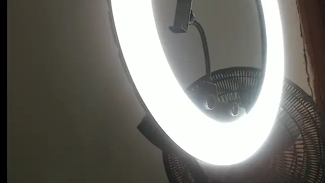 CONNOR 42 online show from April 9, 2026, 5:29 pm