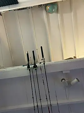 Vexer30 online show from April 27, 2026, 2:48 pm