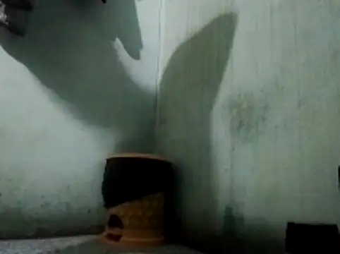 Snapshot of thichgaidambu chatting on May 27, 2026, 8:11 am thichgaidambu online show from May 27, 2026, 8:11 am