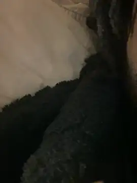 BBCboy365 online show from April 12, 2026, 10:48 pm