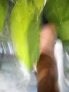 hot-daring online show from April 14, 2026, 5:35 am