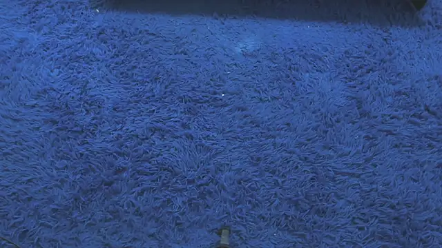 Mia-collins01 online show from April 15, 2026, 12:34 pm