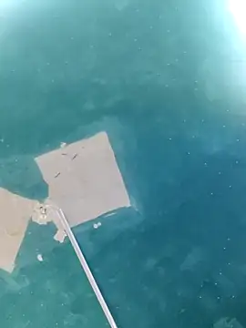 maicol6699 online show from April 18, 2026, 5:11 am