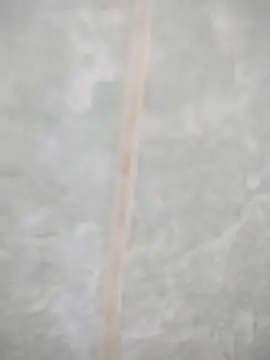 maicol6699 online show from April 19, 2026, 3:06 am