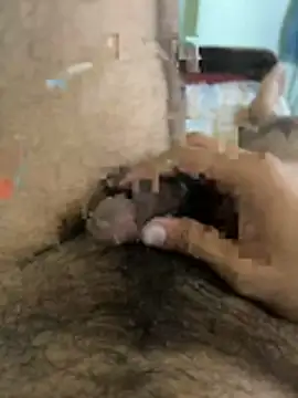 warm milk69 online show from April 19, 2026, 4:01 am