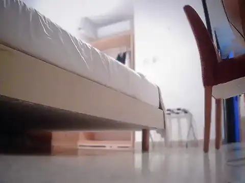 seduna online show from April 30, 2026, 2:29 am