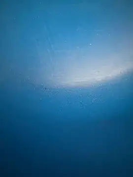 ilovecum34 online show from April 27, 2026, 2:37 pm