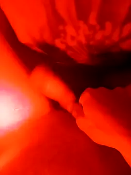 hawyzkak online show from May 15, 2026, 11:34 pm