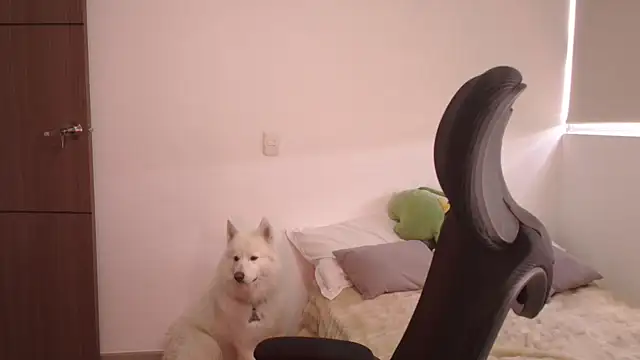 abbyyandmaxx online show from June 24, 2026, 3:55 pm