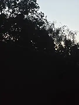 DanieleAleksandraDeRossii online show from June 22, 2026, 7:44 pm