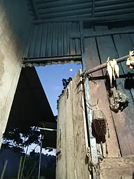 Snapshot of Jinli_01 chatting on May 20, 2026, 12:11 pm Jinli 01 online show from May 20, 2026, 12:11 pm