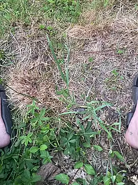 Dickmann18 online show from May 9, 2026, 8:08 am