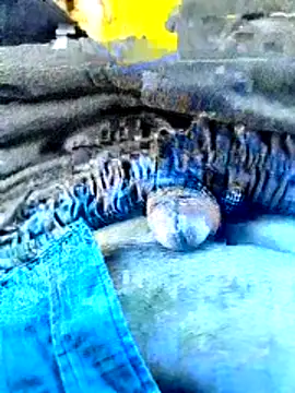 indiandeshi online show from June 24, 2026, 2:21 am