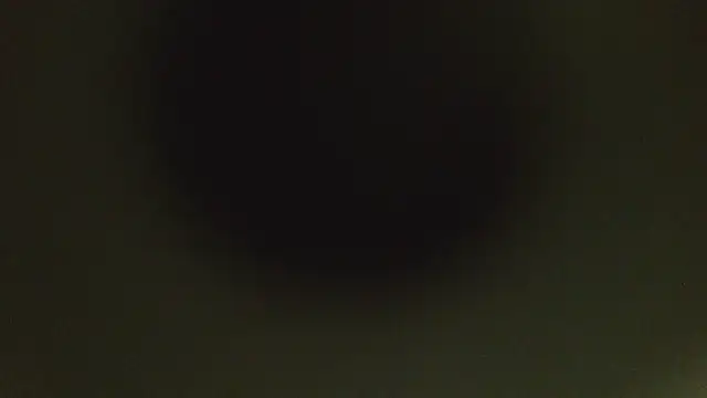 Snapshot of herpuppypeter chatting on May 15, 2026, 1:45 am herpuppypeter online show from May 15, 2026, 1:45 am