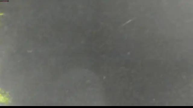 Snapshot of justin_lenox chatting on June 1, 2026, 12:01 am justin lenox online show from June 1, 2026, 12:01 am