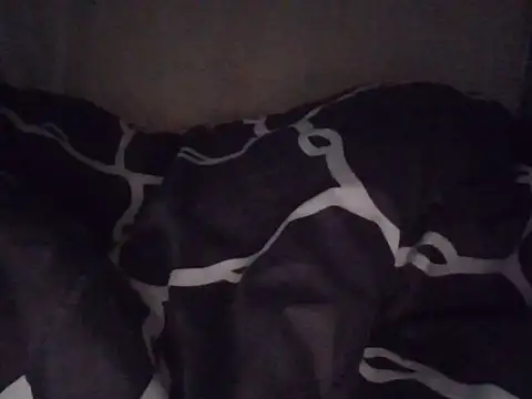 fatpusy002 online show from June 26, 2026, 3:44 am