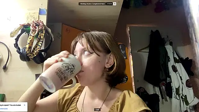 Snapshot of PlumedRolling chatting on May 25, 2026, 5:52 pm PlumedRolling online show from May 25, 2026, 5:52 pm