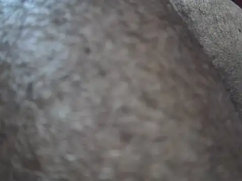 indiboy009 online show from March 14, 2025, 10:49 pm