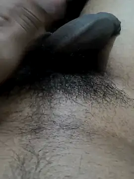 doggyvy online show from August 8, 2026, 7:43 am