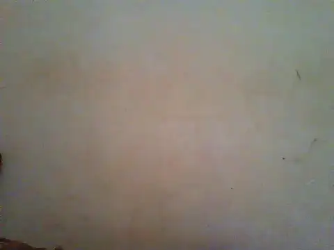 Snapshot of HomeBully chatting on June 27, 2026, 8:08 am HomeBully online show from June 27, 2026, 8:08 am